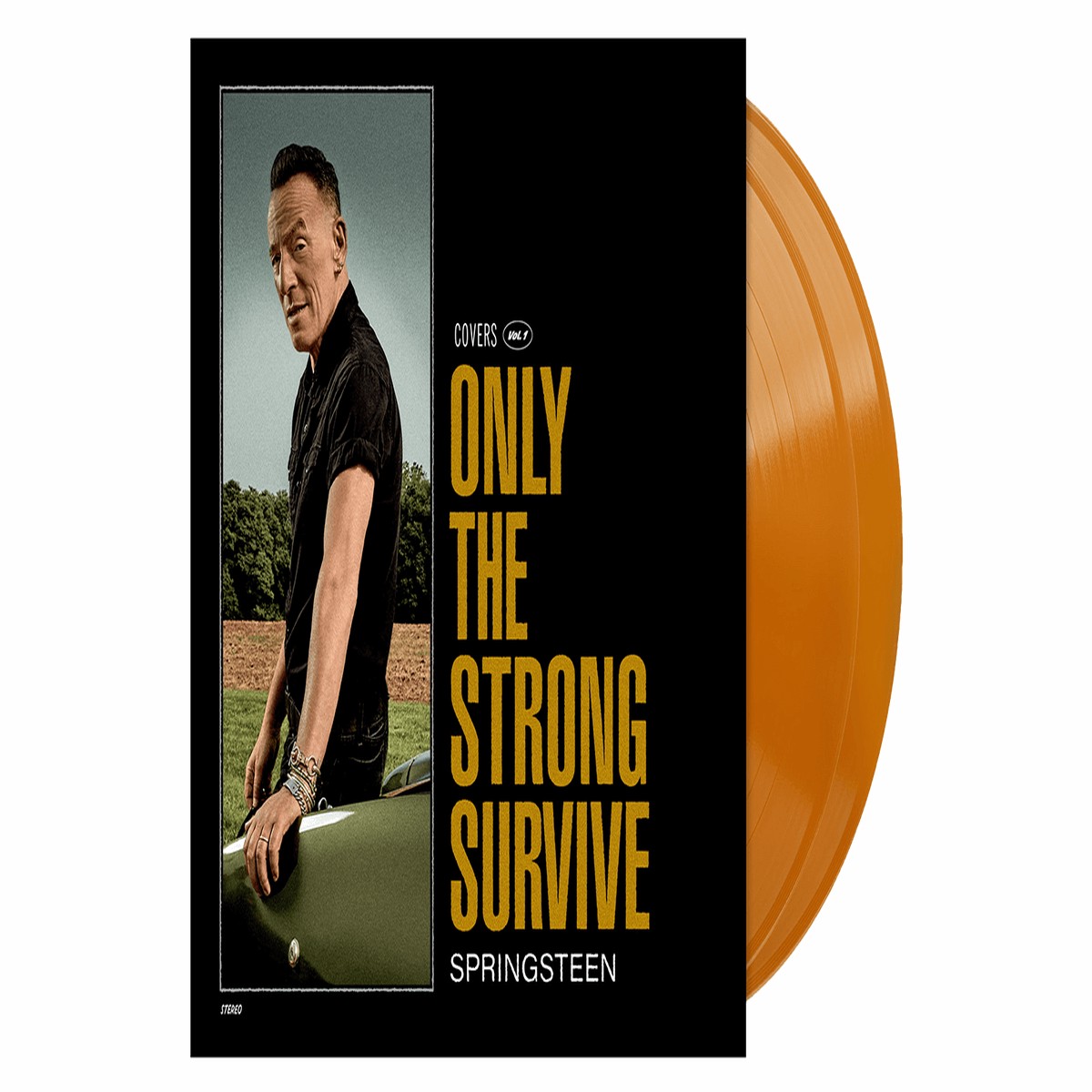 Bruce Springsteen : Only The Strong Survive (Ltd Orange Vinyl)
