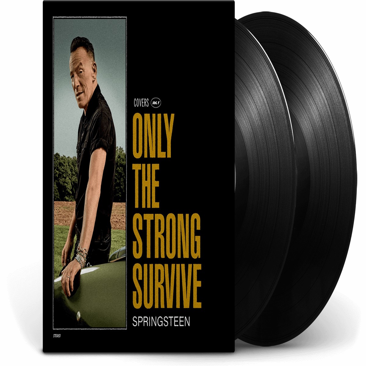 Bruce Springsteen : Only The Strong Survive