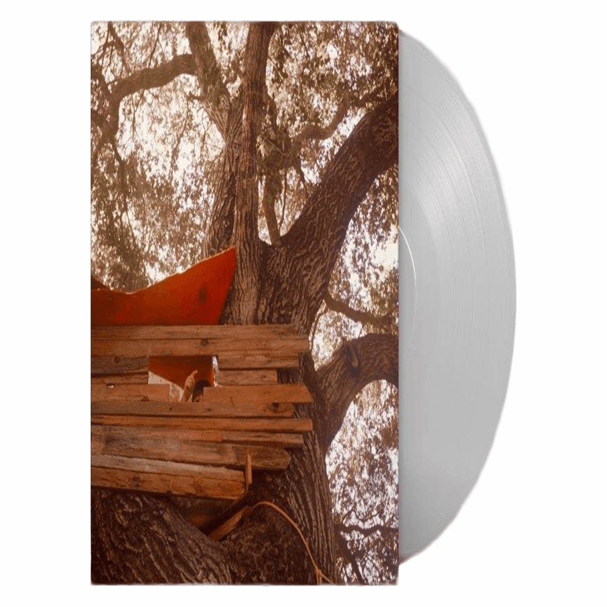 The Backseat Lovers : Waiting to Spill (Ltd Clear Vinyl)