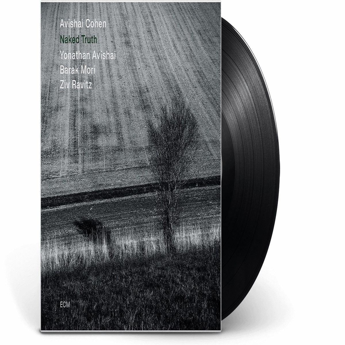 Avishai Cohen : Naked Truth
