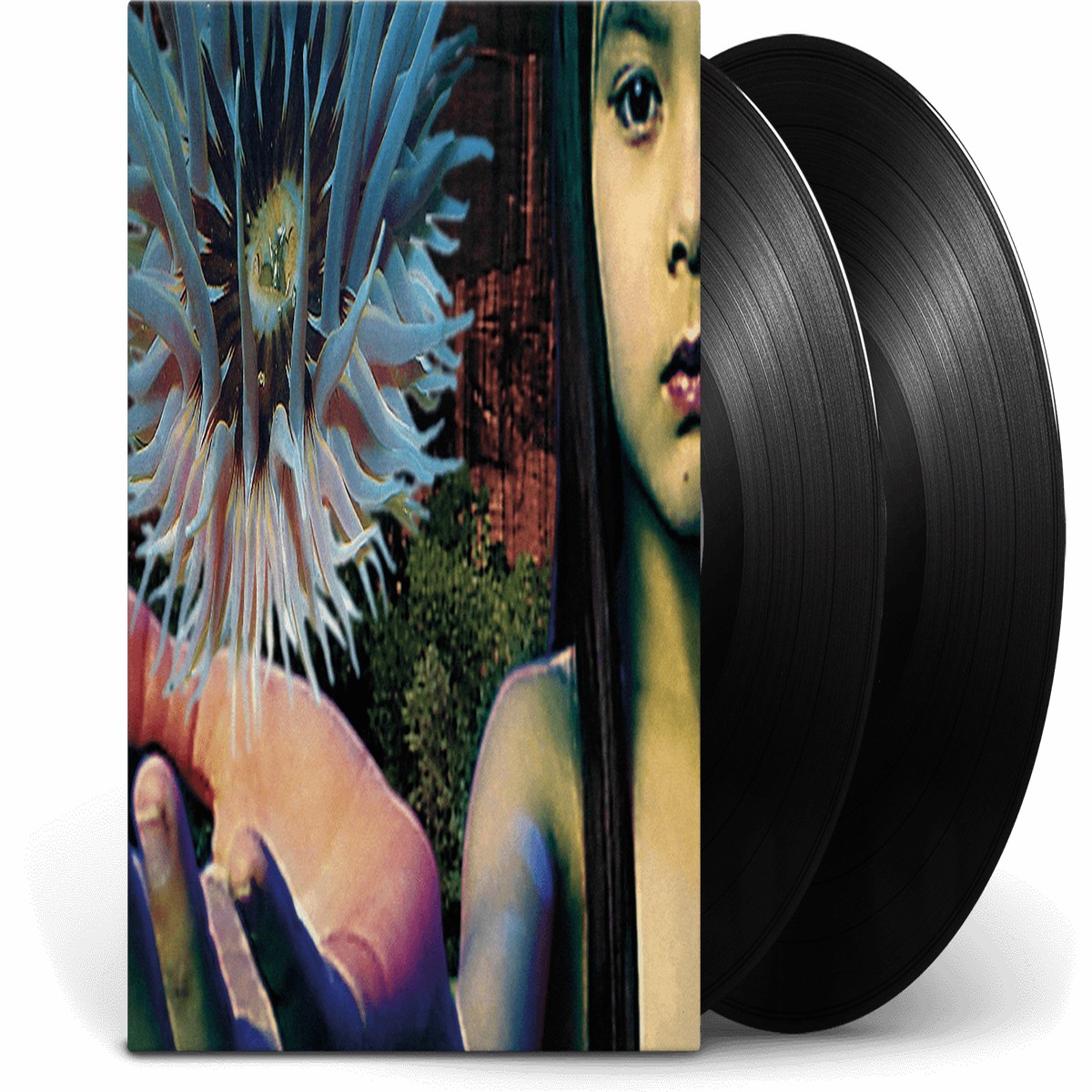 Future Sound Of London : Lifeforms
