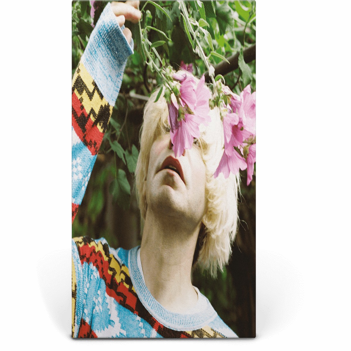 Tim Burgess : Typical Music (Red & Blue Clear Vinyl)