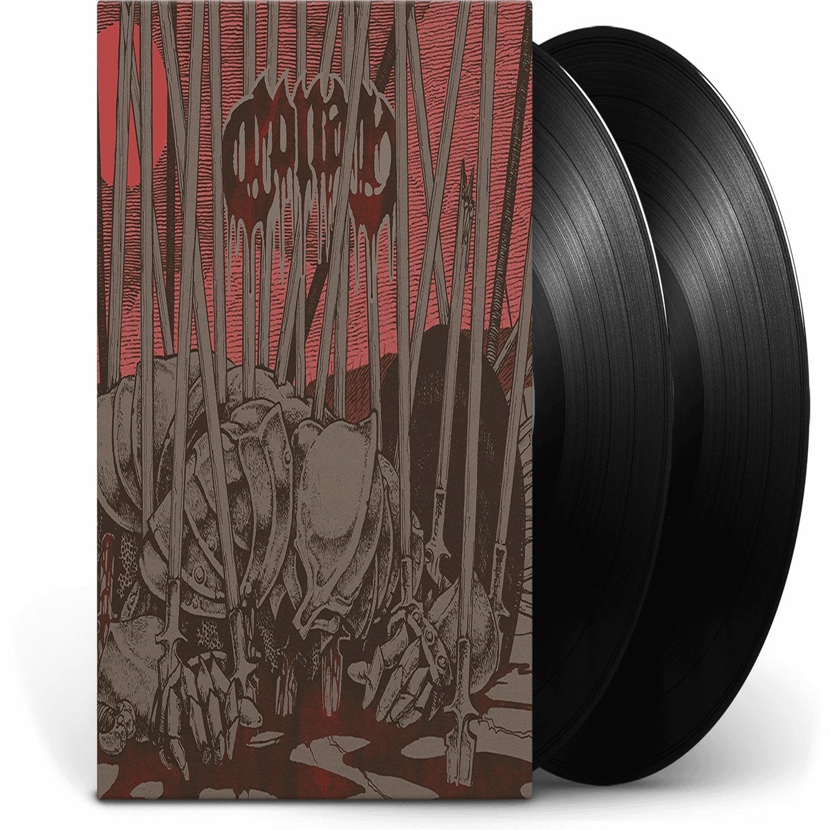 Conan : Evidence of Immortality