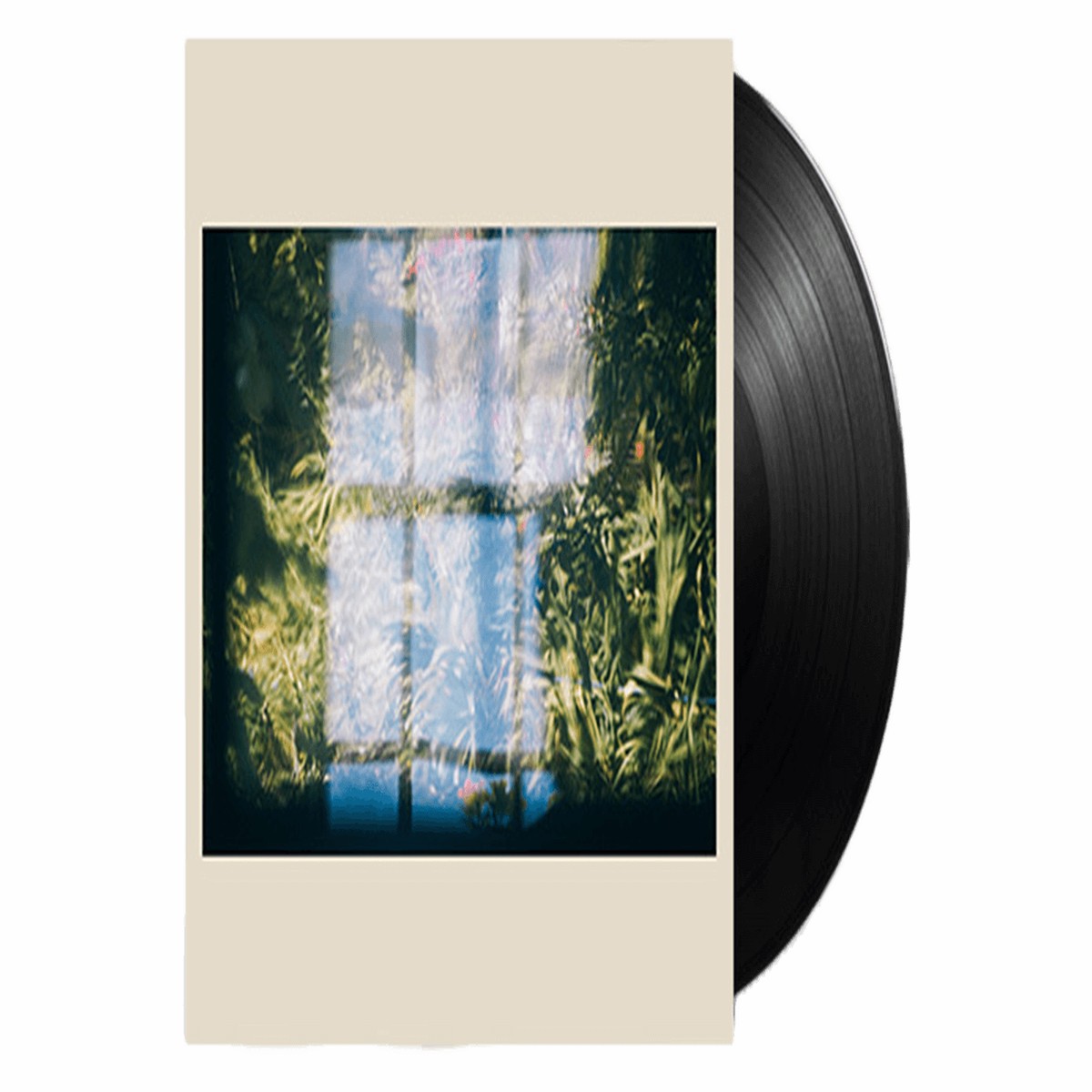 Erland Cooper : Music For Growing Flowers