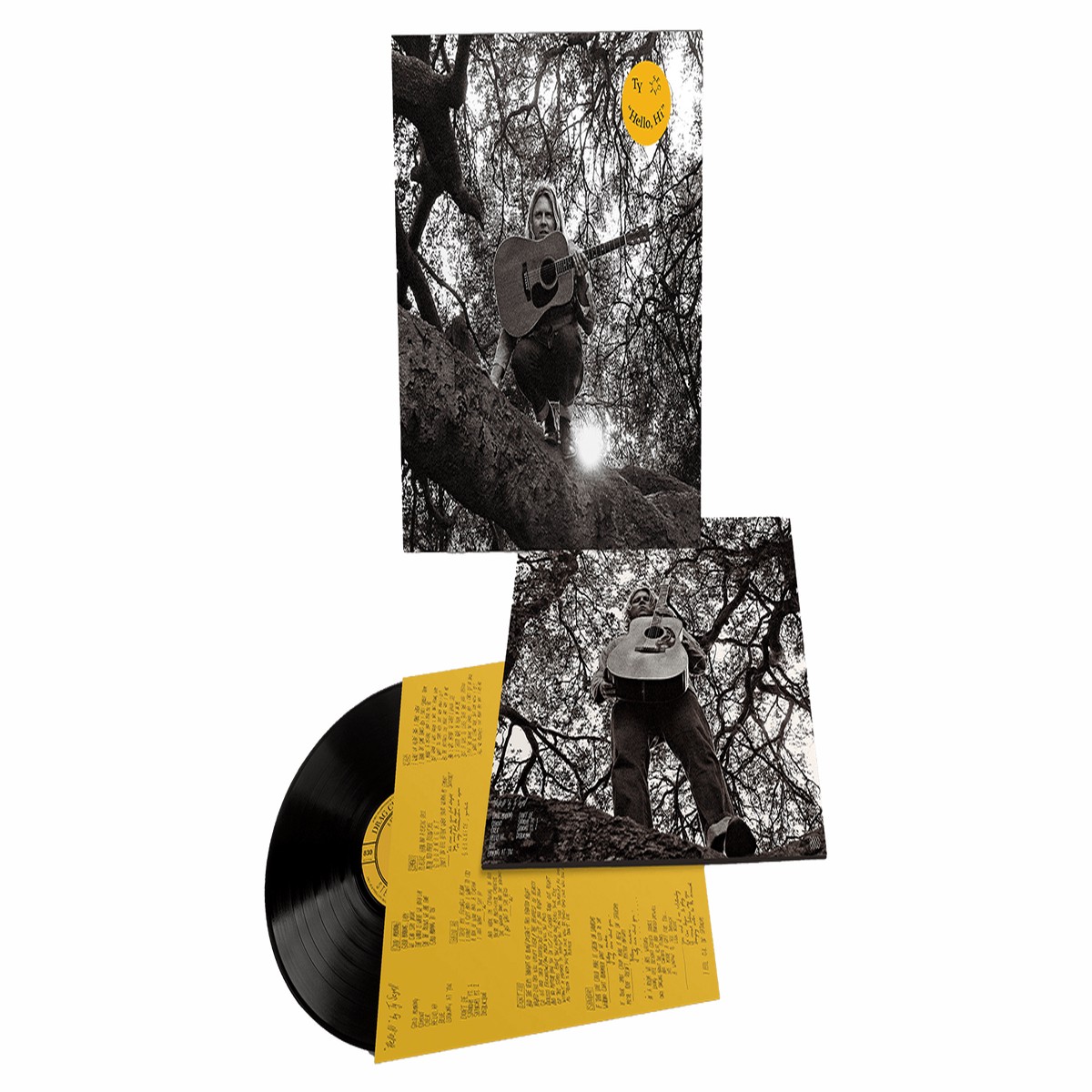 Ty Segall : Hello, Hi