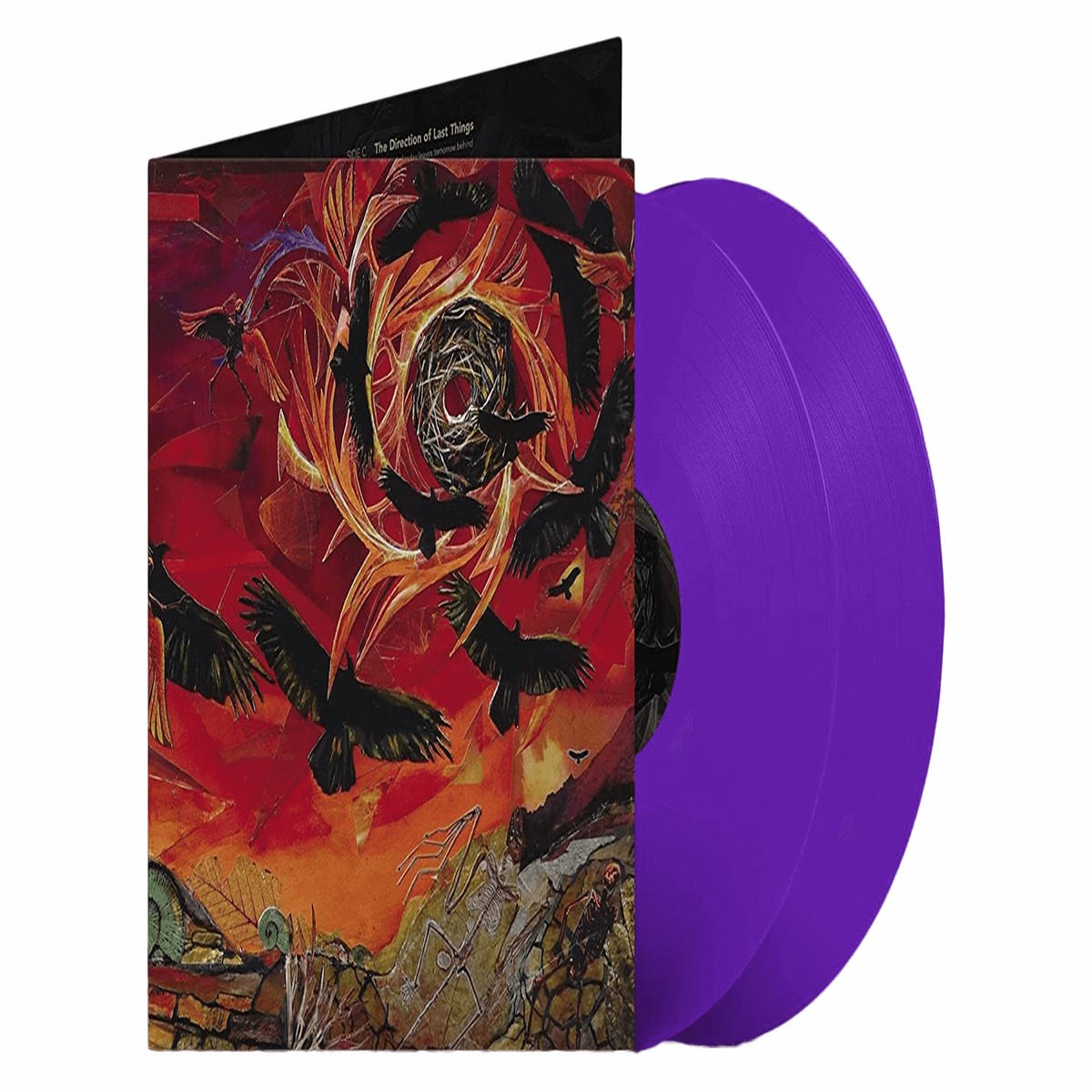 Intronaut : The Direction of Last Things (Purple Vinyl)