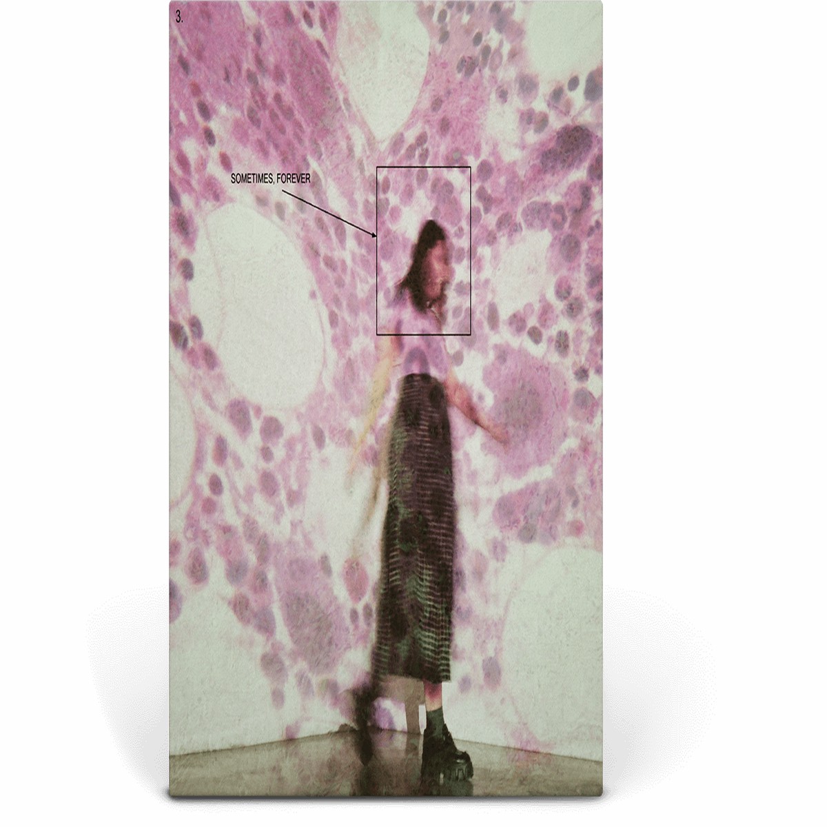 Soccer Mommy : Sometimes, Forever (Ltd Clear Pink Vinyl)