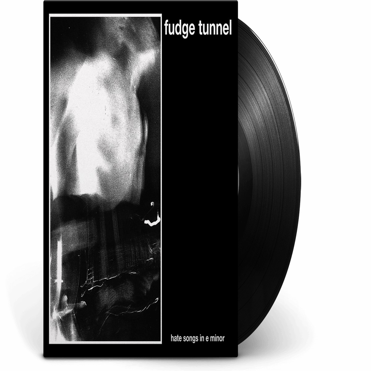 Fudge Tunnel : Hate Songs in E Minor