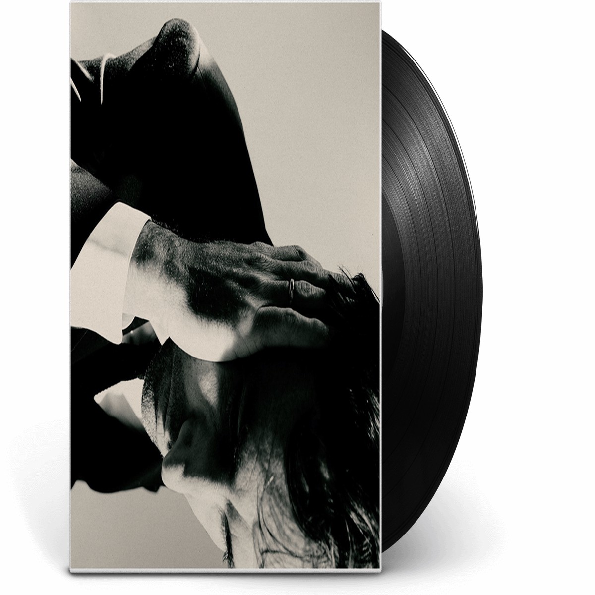 Andrew Bird : Inside Problems