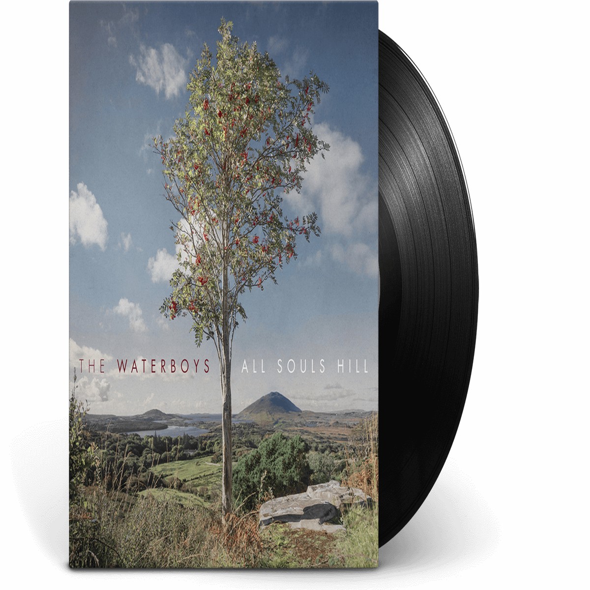 The Waterboys : All Souls Hill