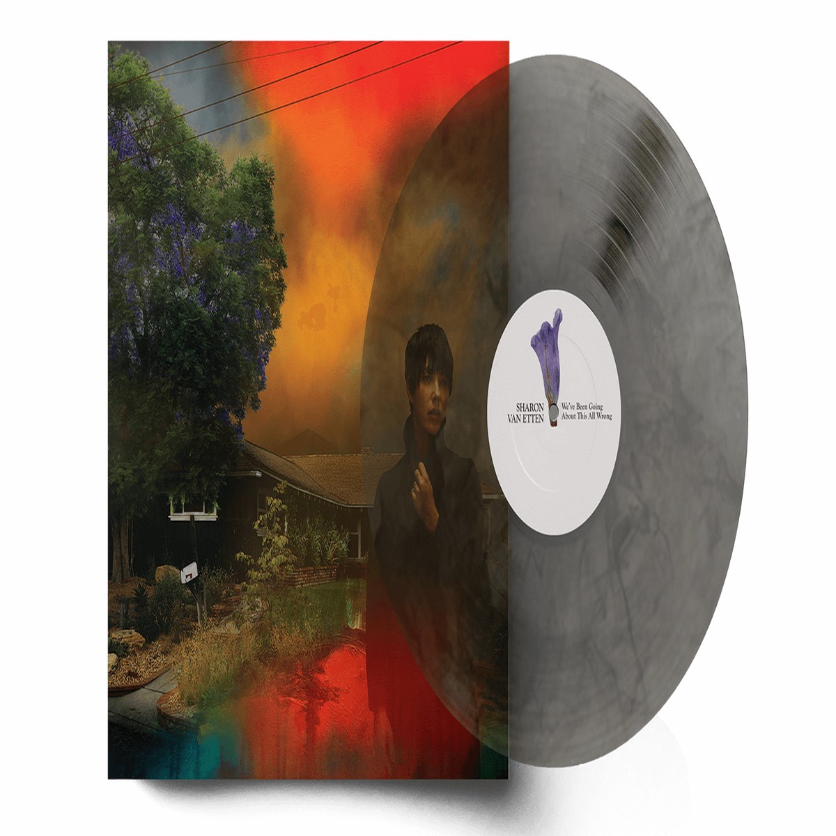Sharon Van Etten : We’ve Been Going About This All Wrong (Ltd Marble Smoke Vinyl)