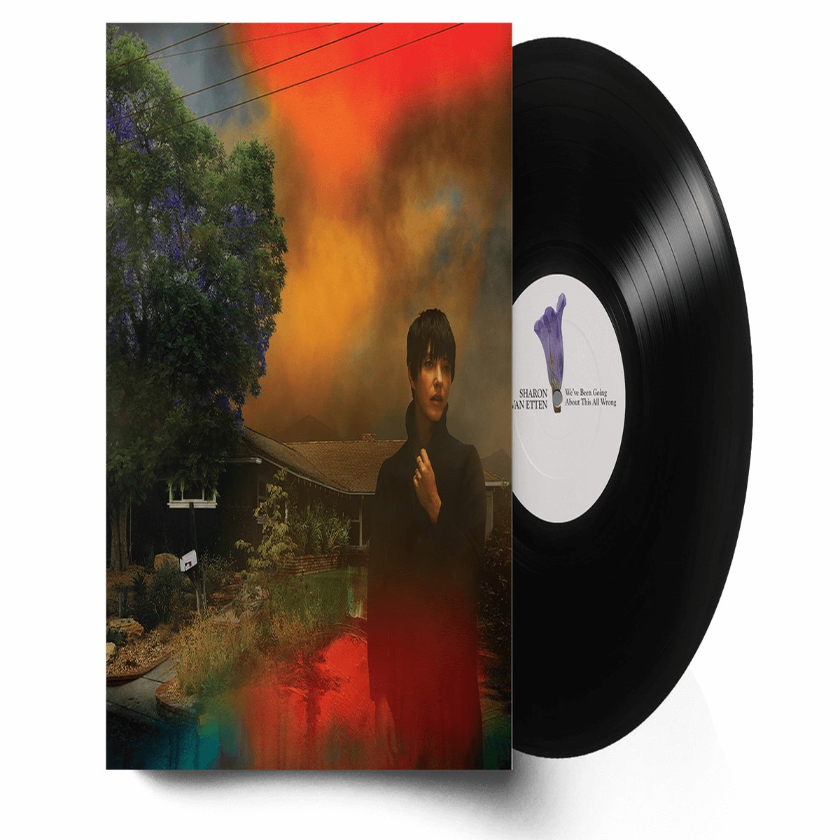 Sharon Van Etten : We’ve Been Going About This All Wrong