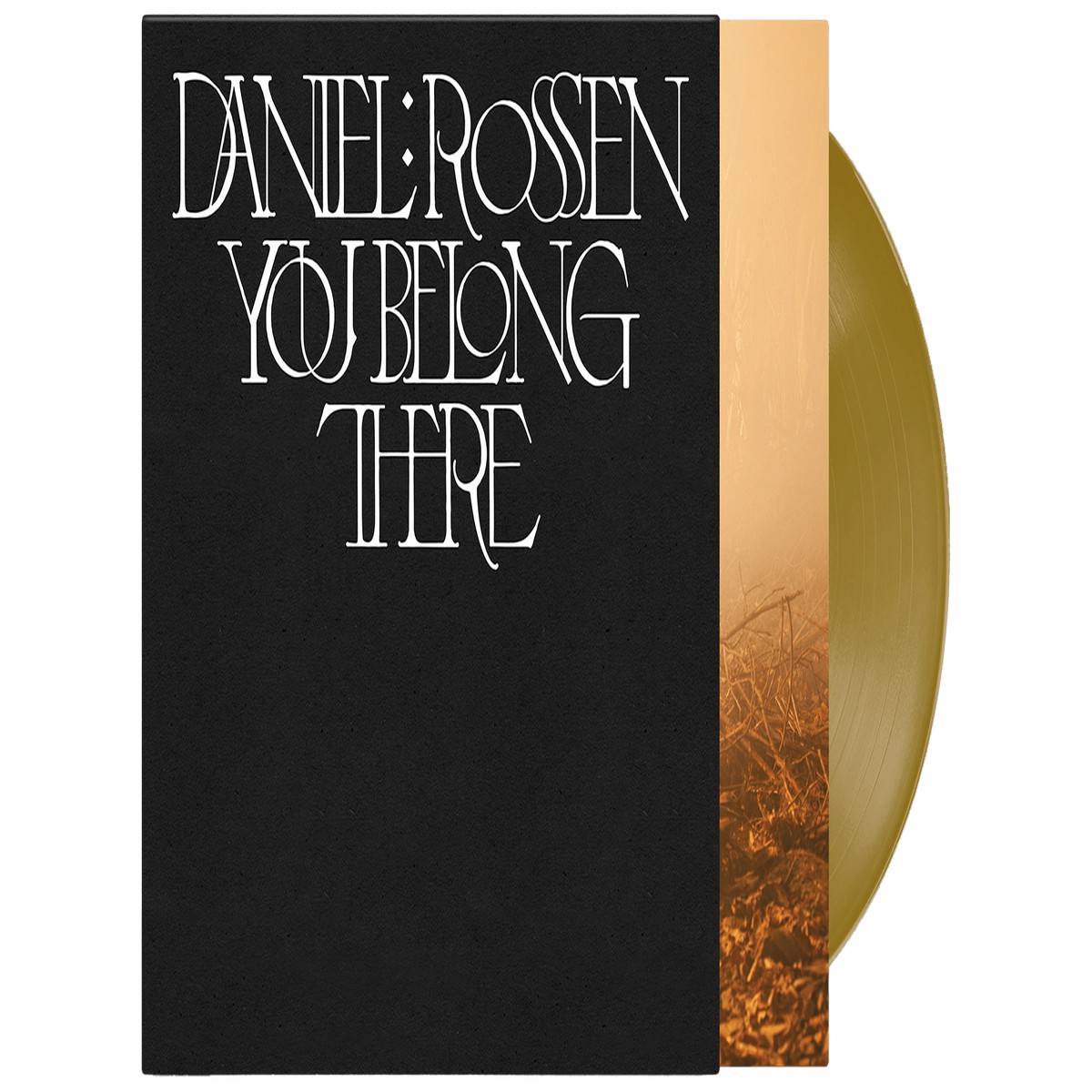 Daniel Rossen : You Belong There (Ltd Gold Vinyl)