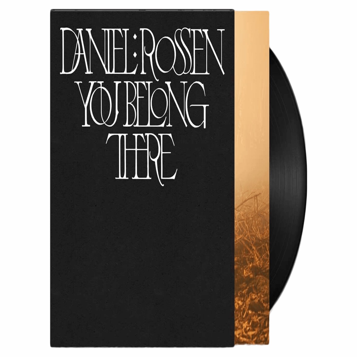 Daniel Rossen : You Belong There