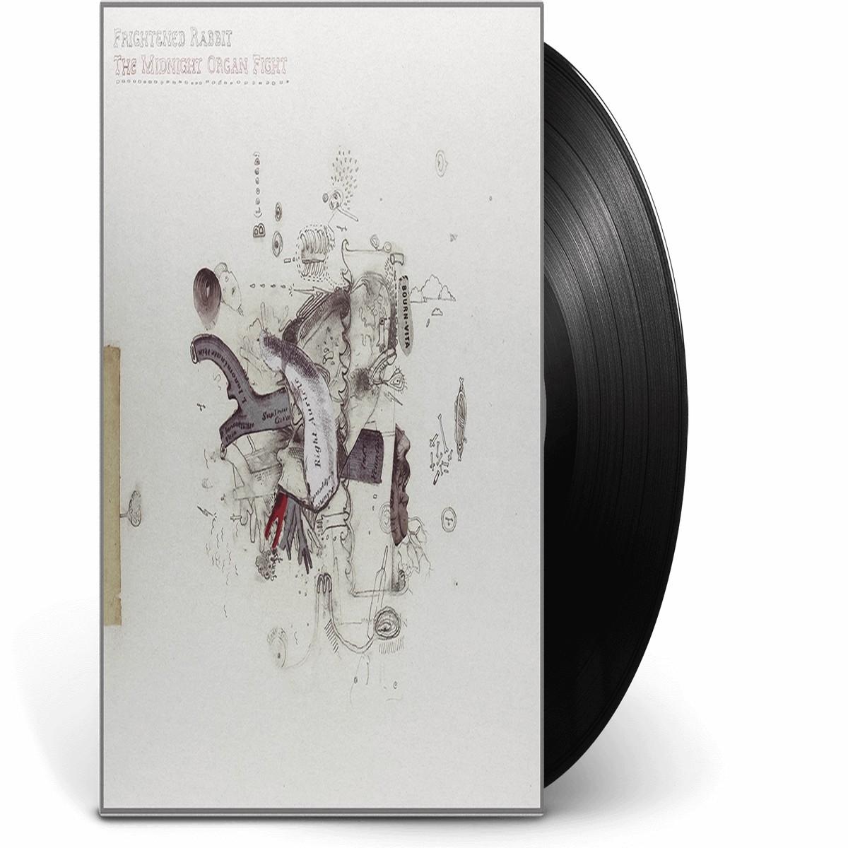 Frightened Rabbit : The Midnight Organ Fight