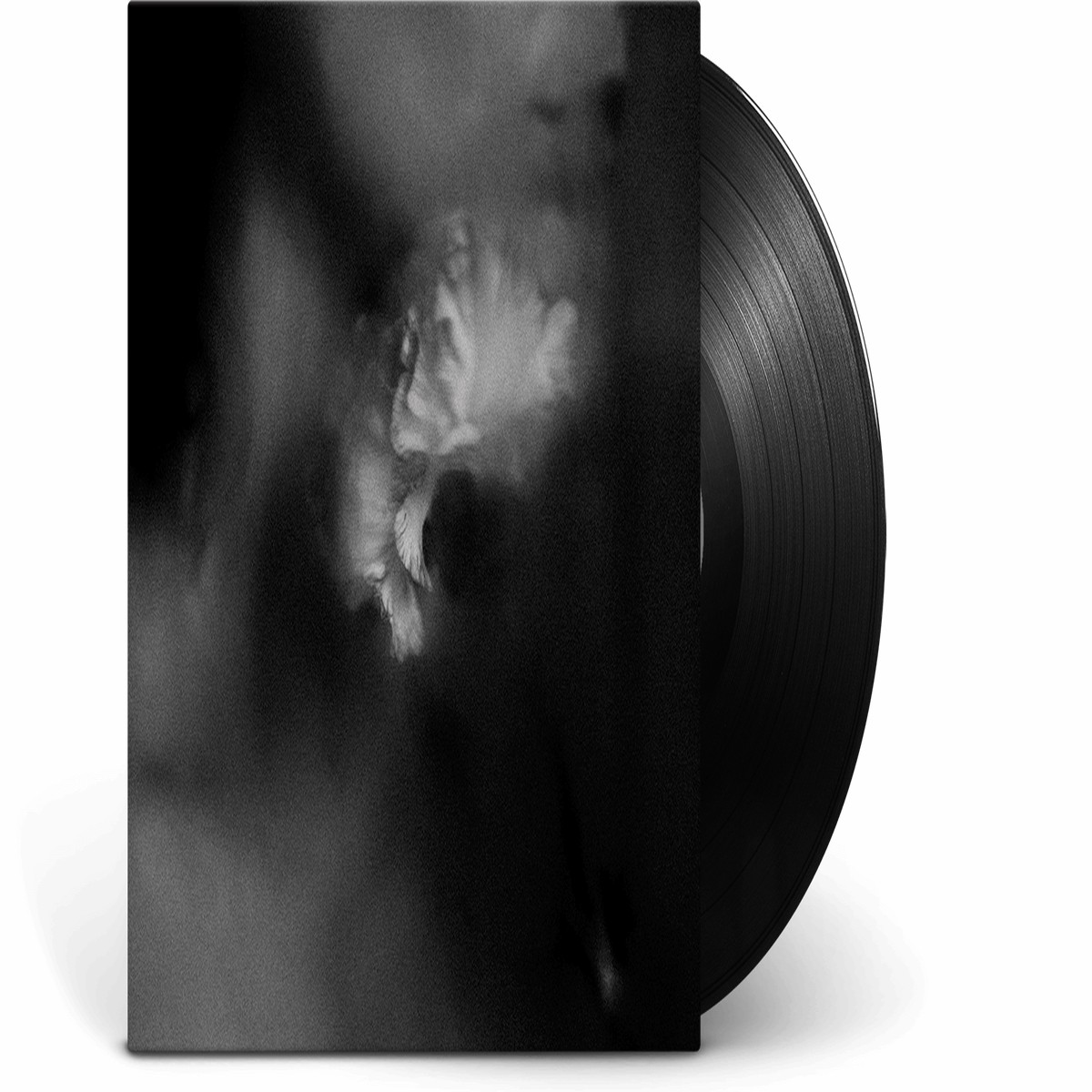 Holding Absence : Holding Absence
