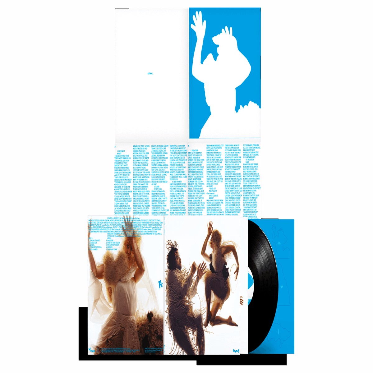LUMP feat. Laura Marling & Mike Lindsay : Animal (Deluxe Gatefold 180g Edition)