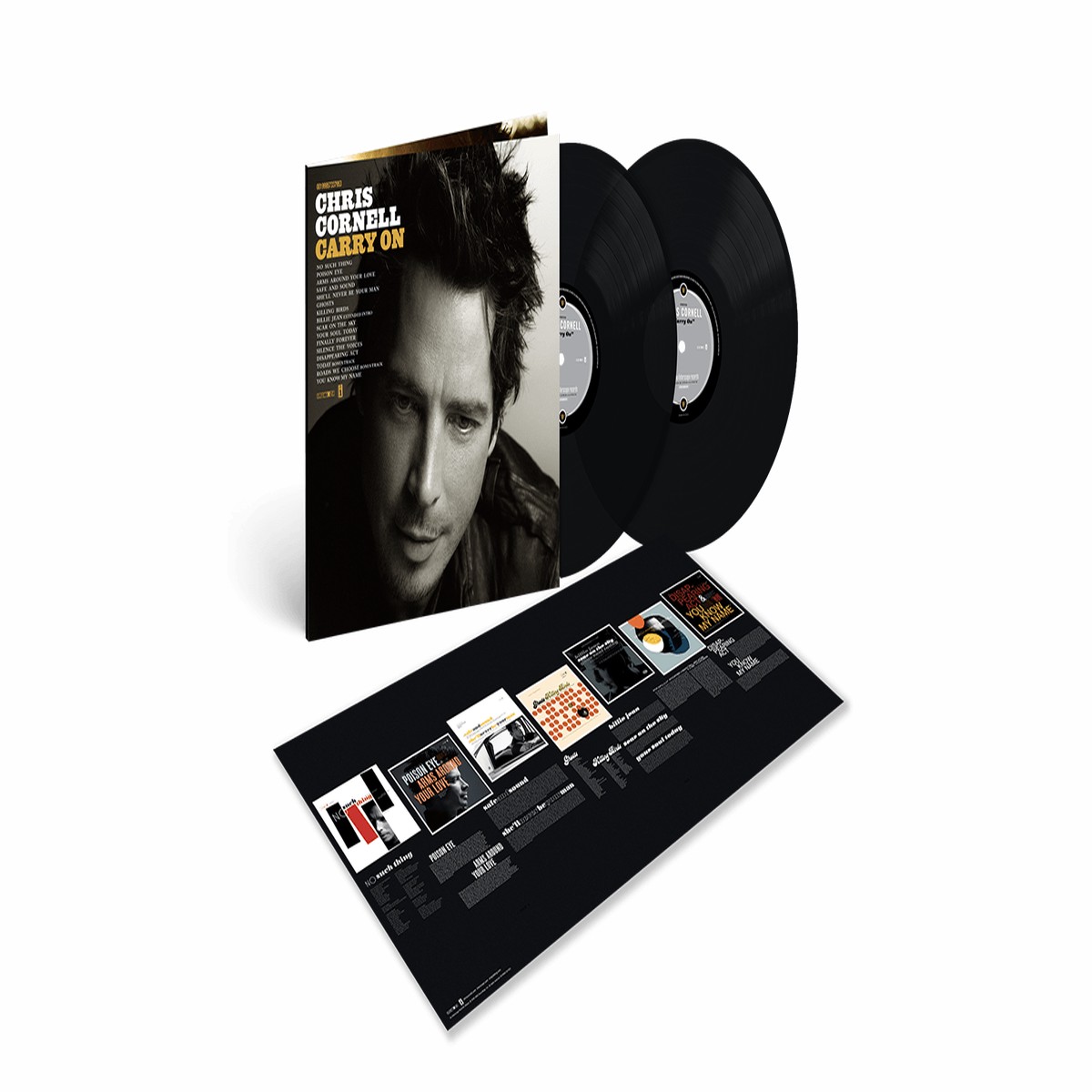 Chris Cornell : Carry On