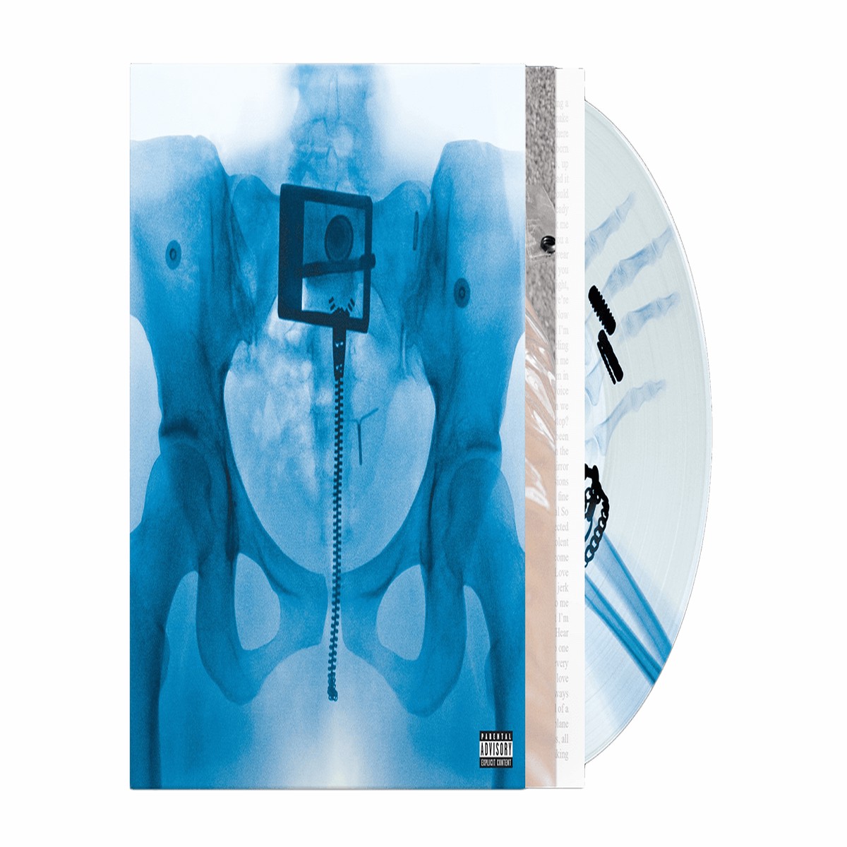 Lorde : Virgin (Picture Disc)