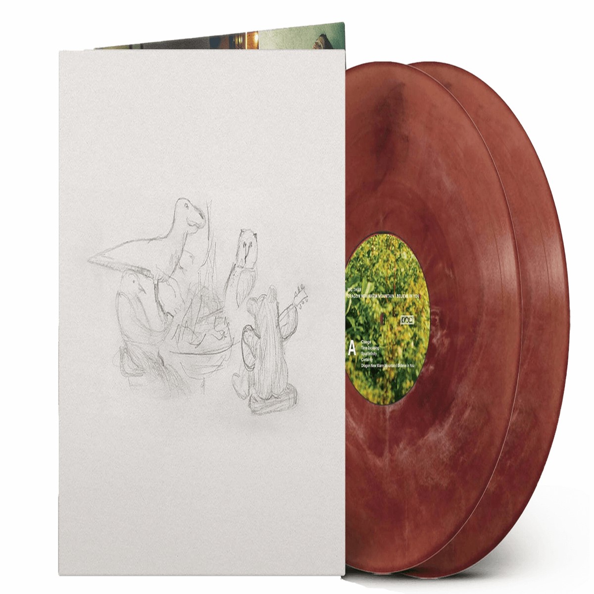 Big Thief : Dragon New Warm Mountain I Believe In You (Ltd Eco Coloured Vinyl)