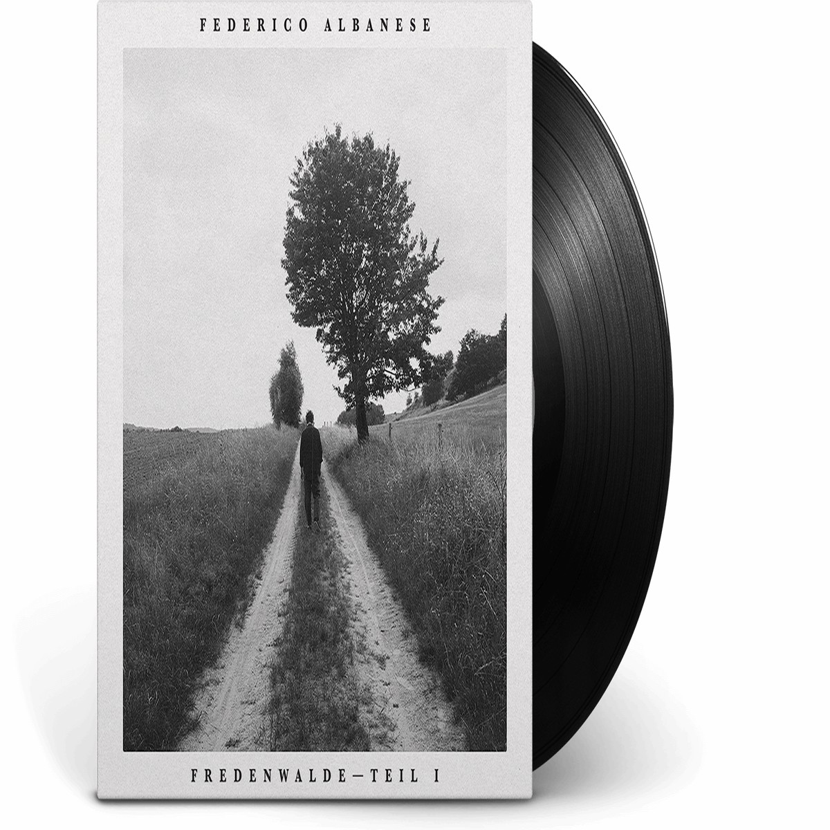 Federico Albanese : Before & Now Seems Infinite