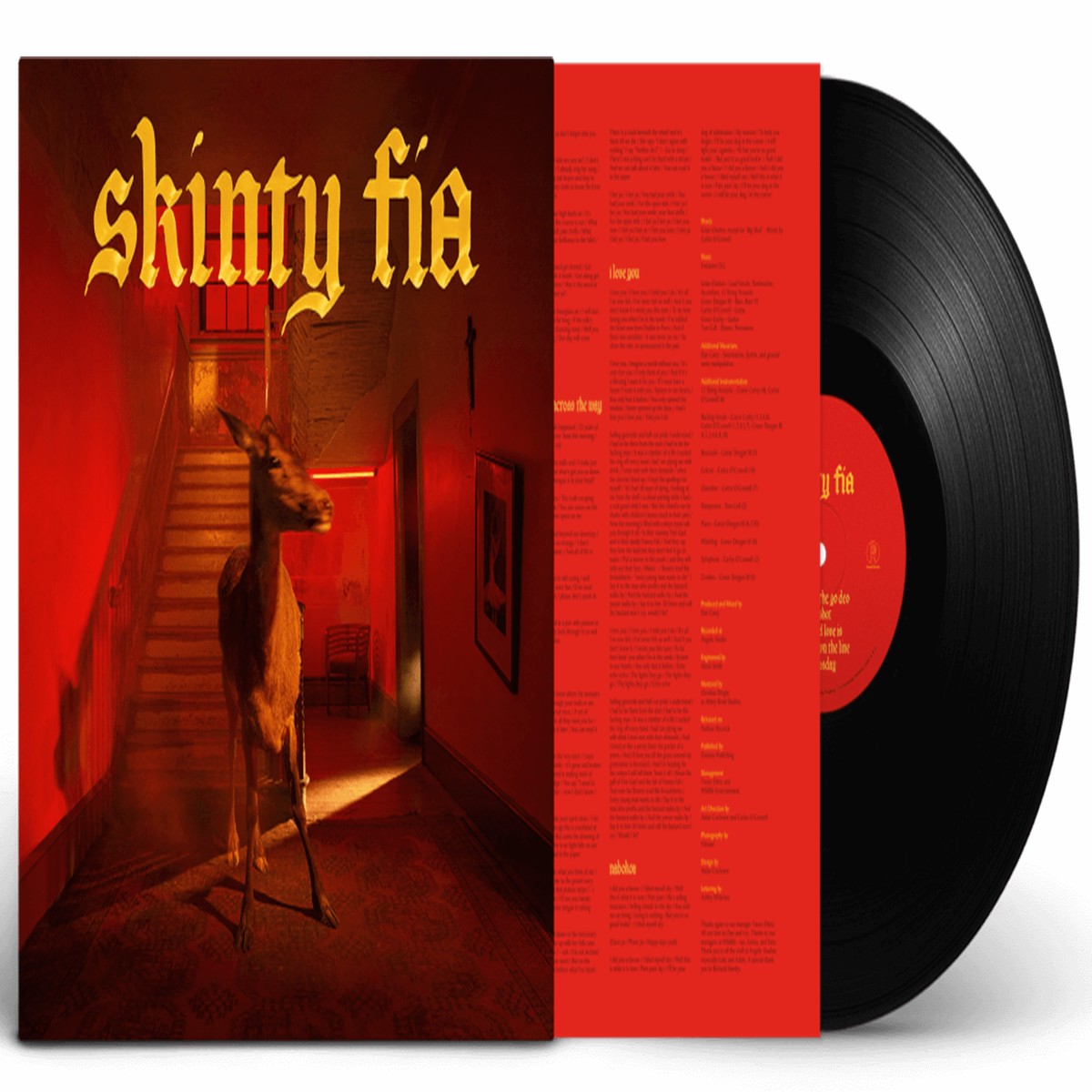 Fontaines D.C. : Skinty Fia