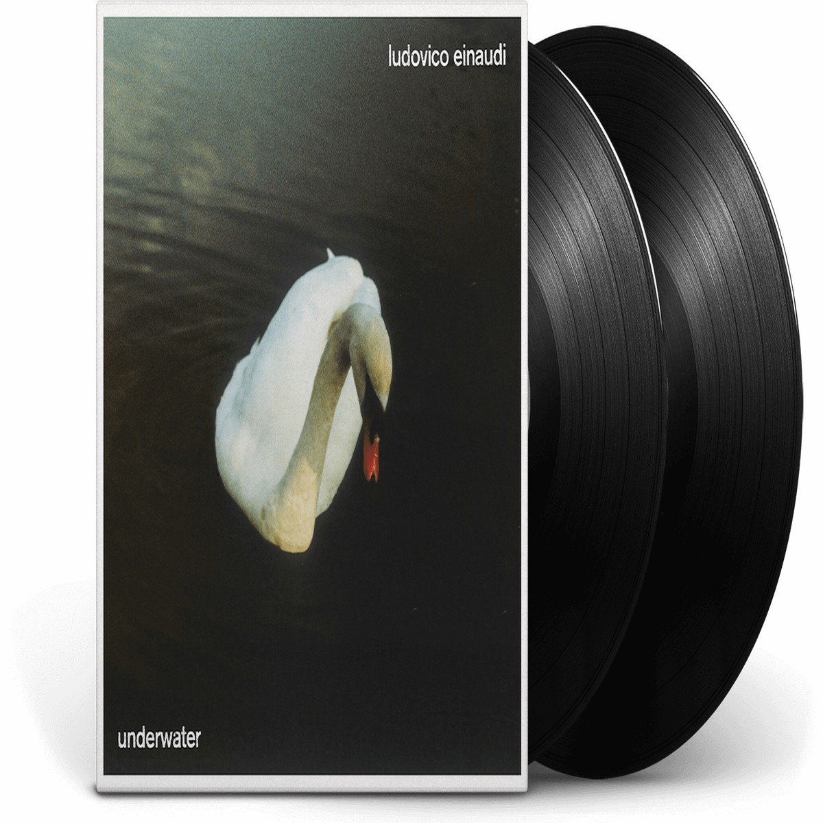 Ludovico Einaudi : Underwater