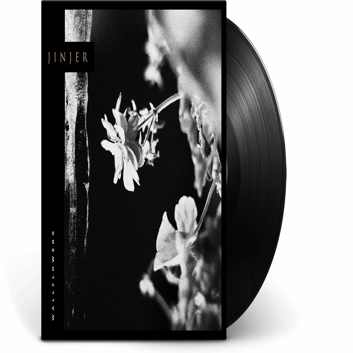 Jinjer : Wallflowers