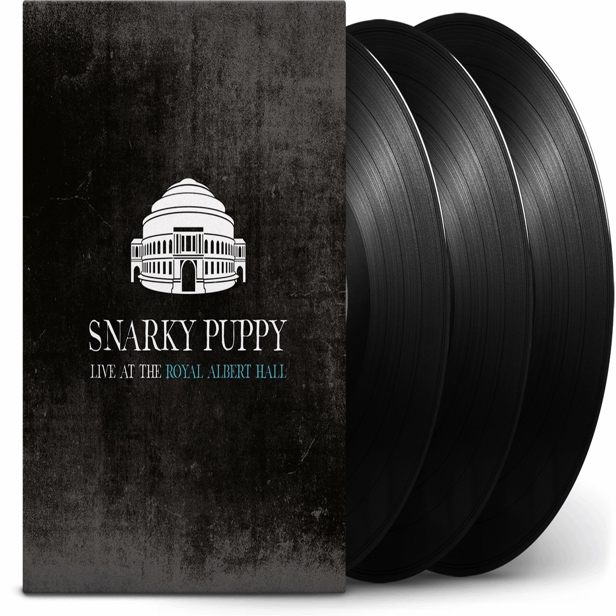 Snarky Puppy : Live at the Royal Albert Hall
