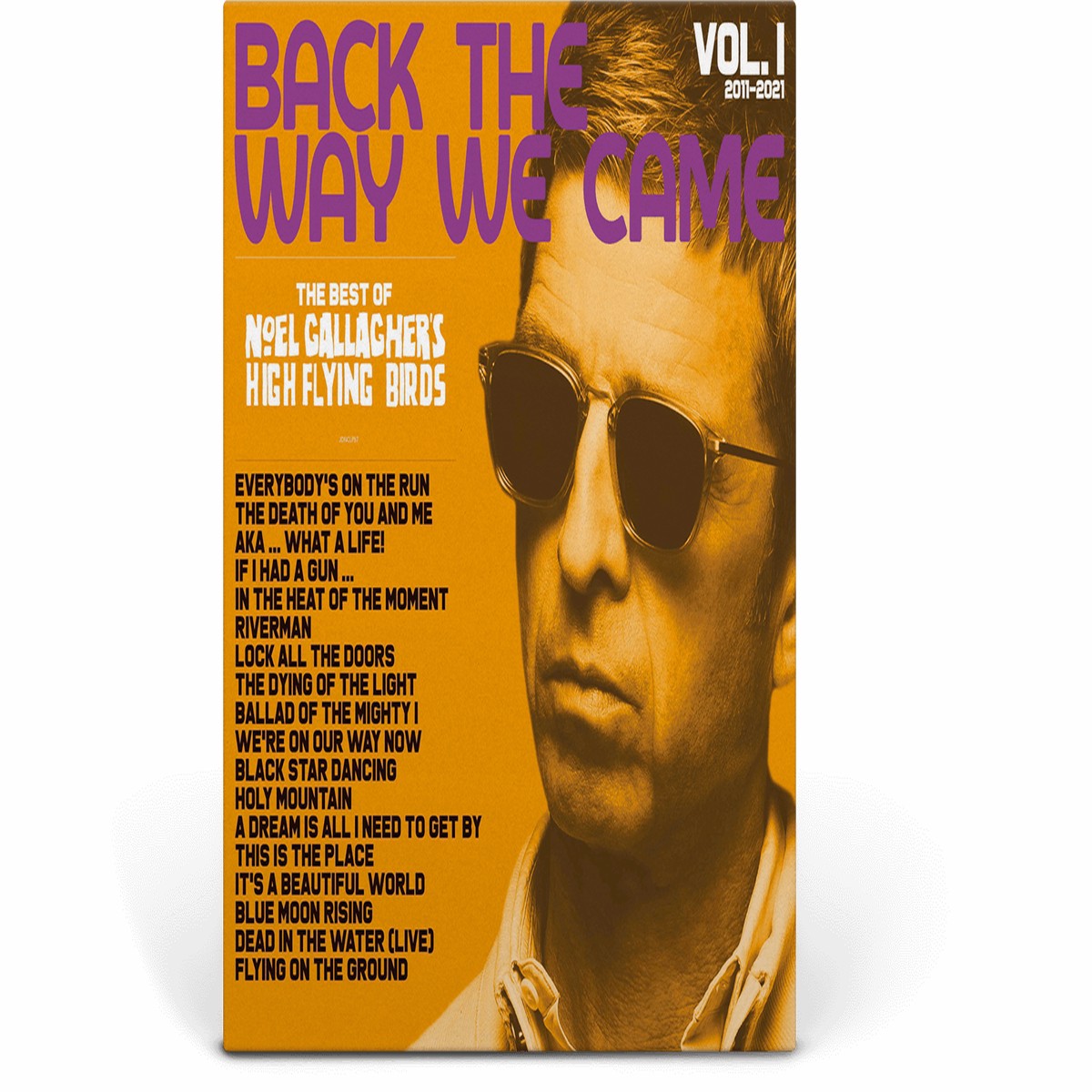 Noel Gallagher’s High Flying Birds : Back The Way We Came Vol. 1: 2011-2021 (Ltd Picture Disc)