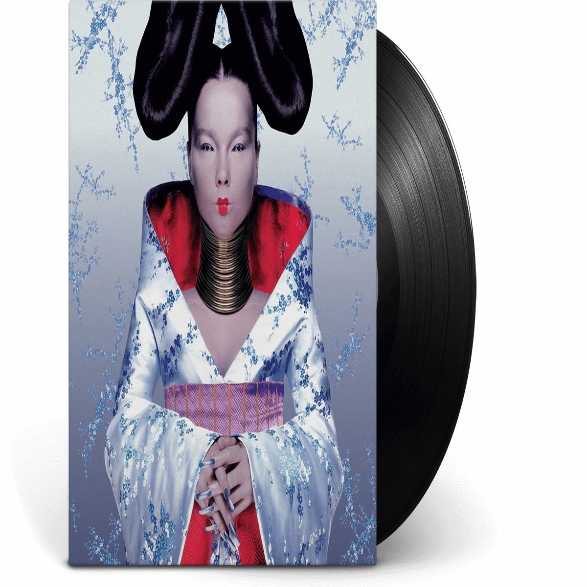 Bjrk : Homogenic