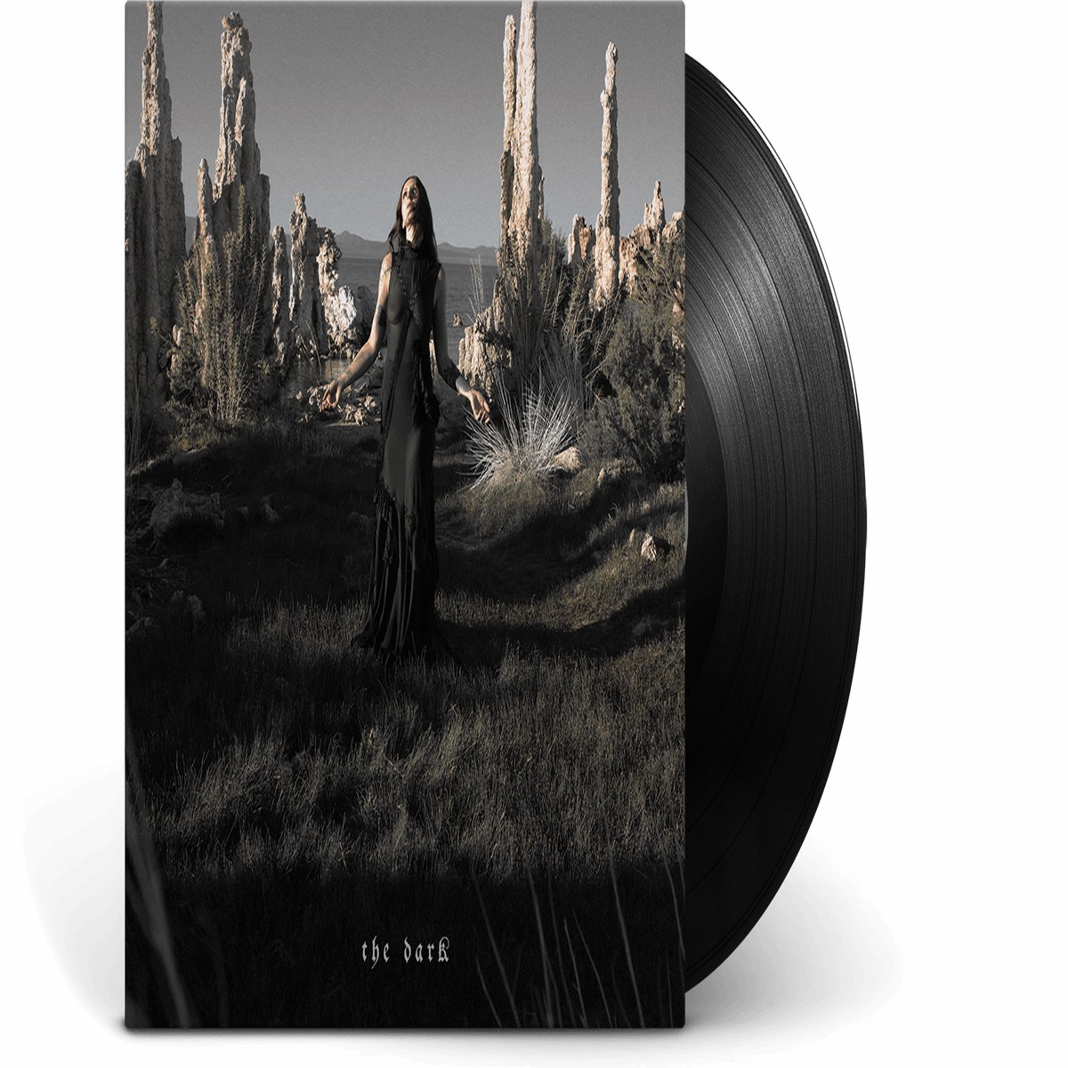 Chelsea Wolfe : The Dark