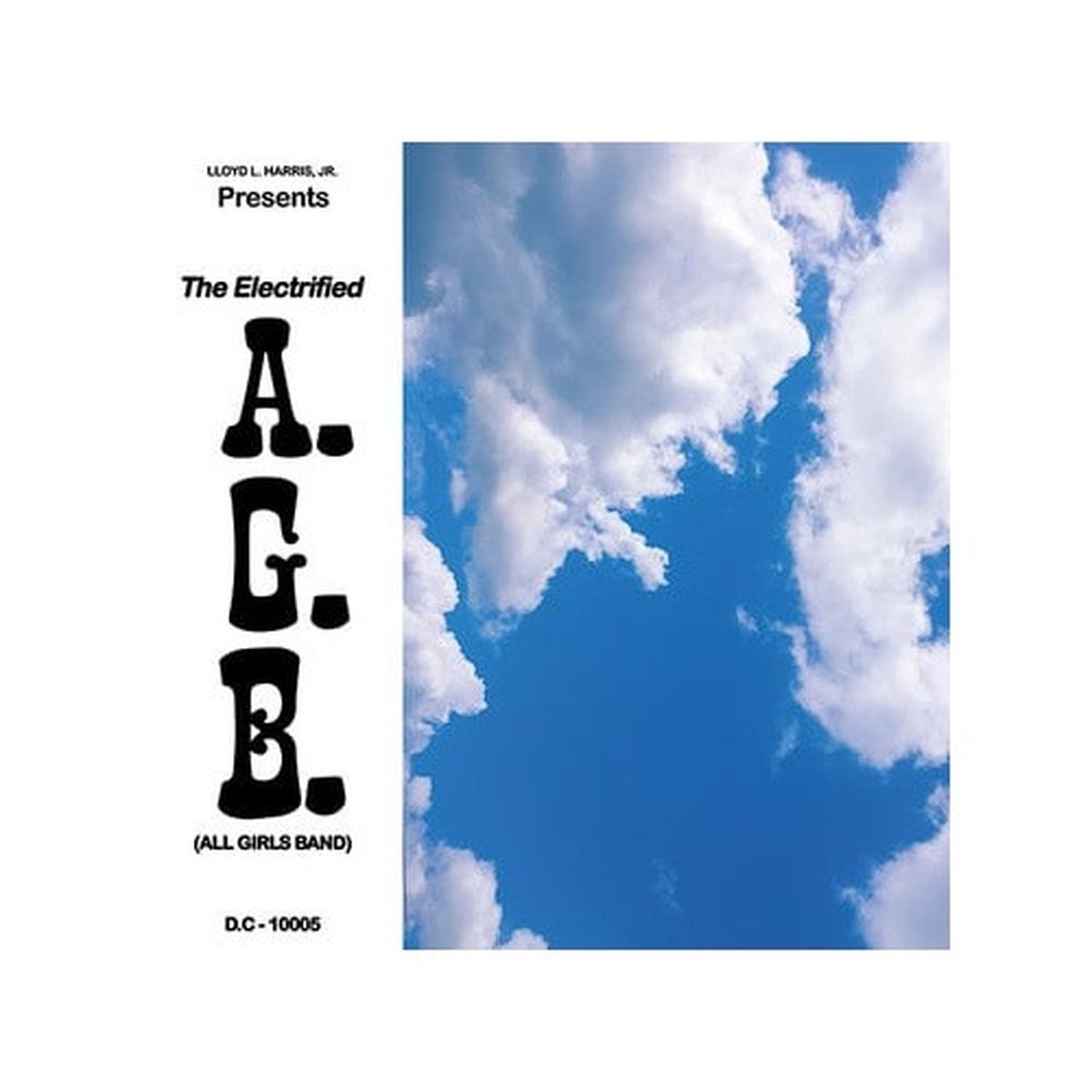 Electrified A.G.B. – Fly Away RSD – 12″ Vinyl
