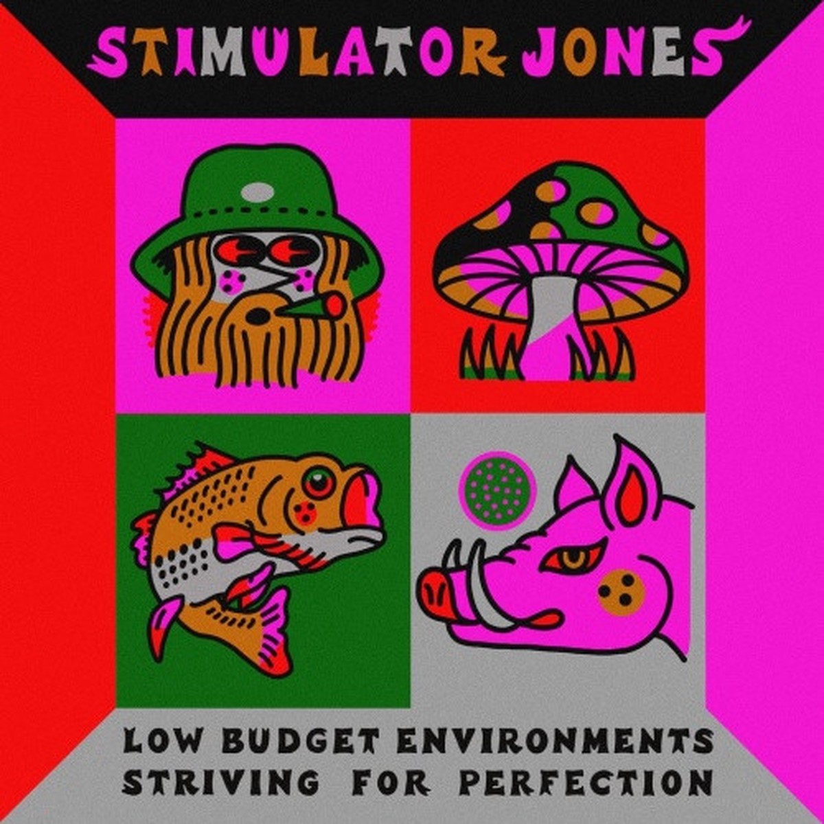 Stimulator Jones – Low Budget Environments Striving For Perfection – LP Vinyl