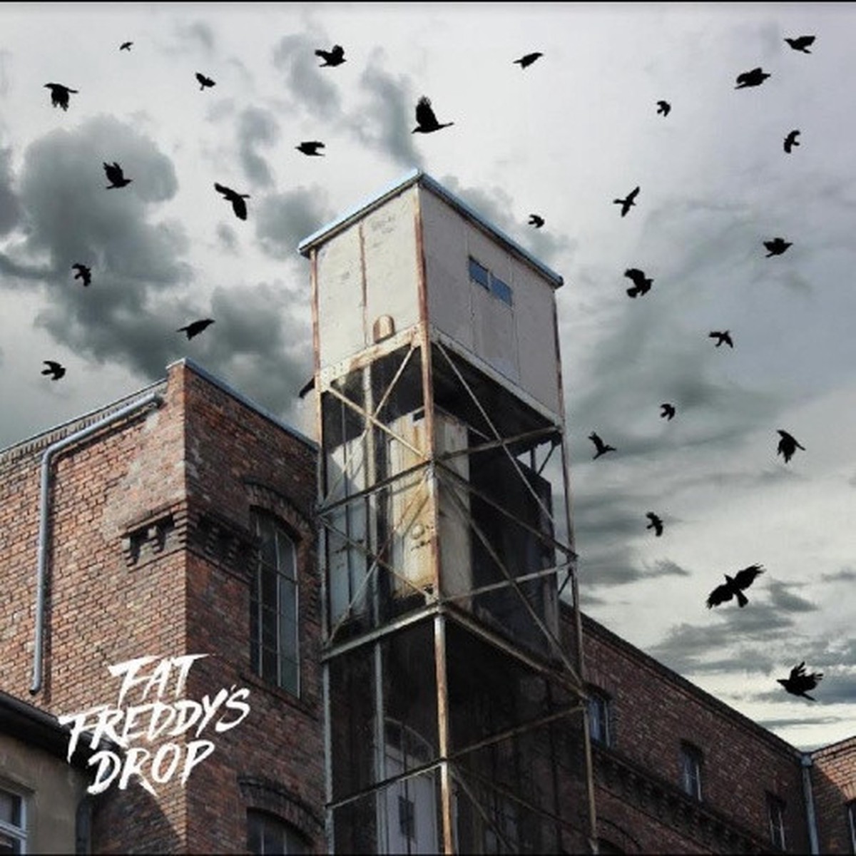 Fat Freddy’s Drop – Blackbird Returns – 2x LP Vinyl