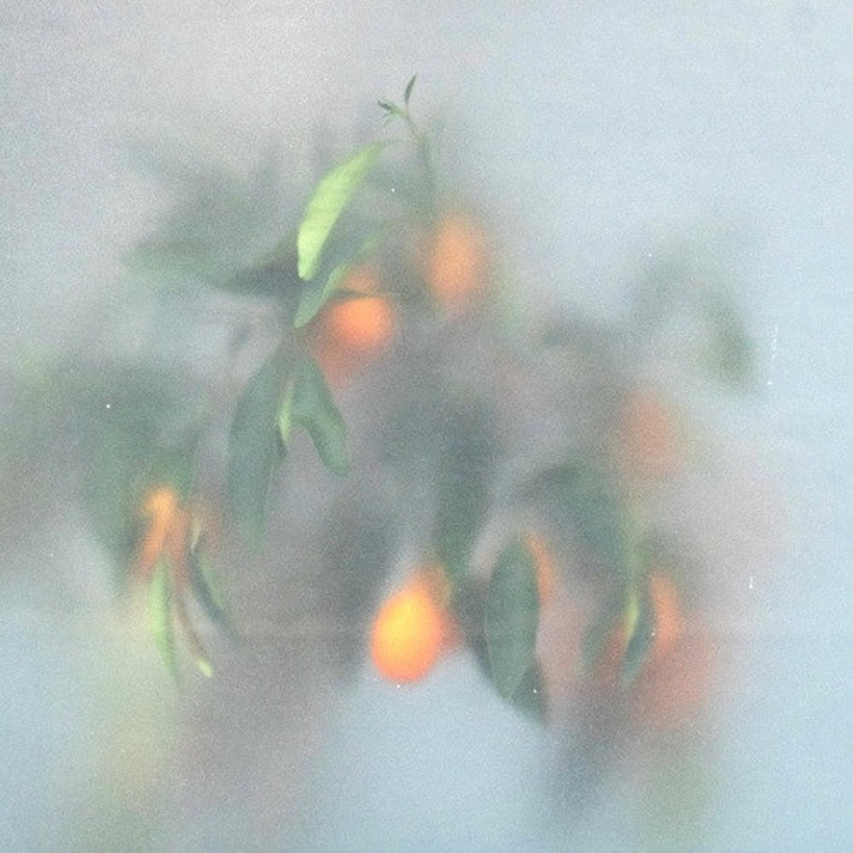 Mu-Ziq & Mrs Jynx – Secret Garden – LP Colored Vinyl