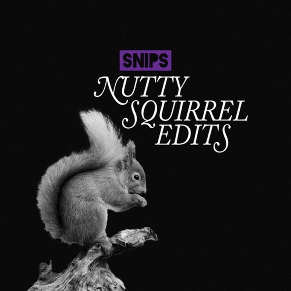 Snips – Nutty Squirrel Edits – 7″ Vinyl