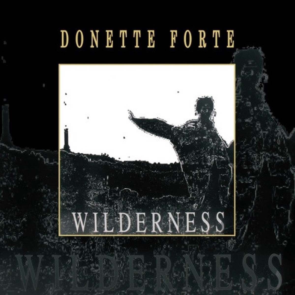 Donette Forte – Wilderness – LP Vinyl