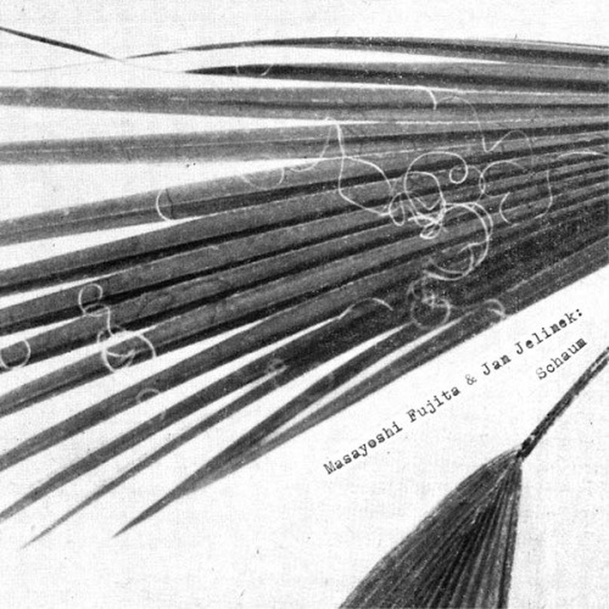 Masayoshi Fujita & Jan Jelinek – Schaum – LP Vinyl