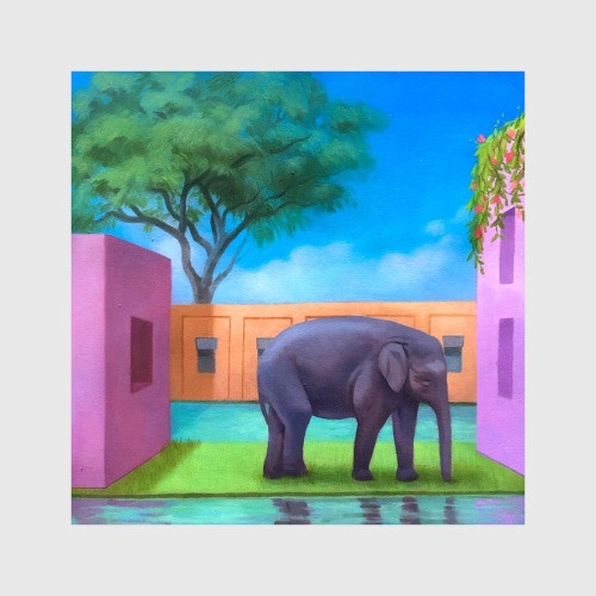 Korea Town Acid – Elephant In The Room – LP Vinyl