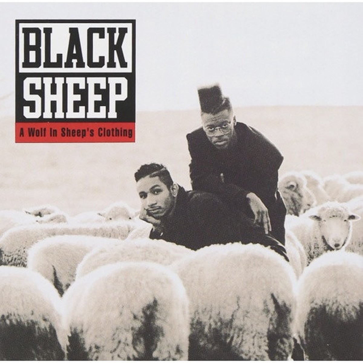 Black Sheep – A Wolf In Sheep’s Clothing – 2x LP Vinyl