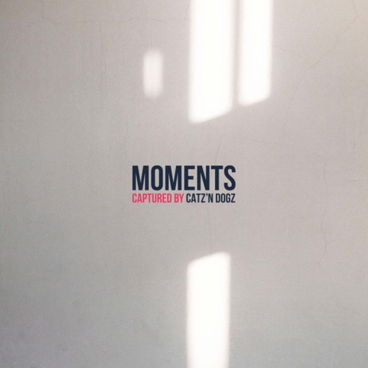 Catz N’ Dogz – Moments – LP Vinyl