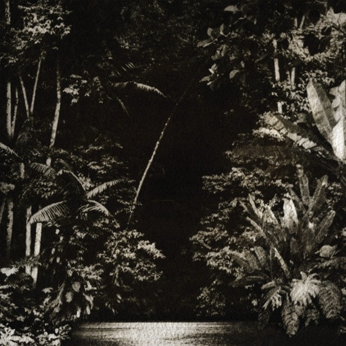 Nicola Cruz – Arpejos Da Floresta – 12″ Vinyl