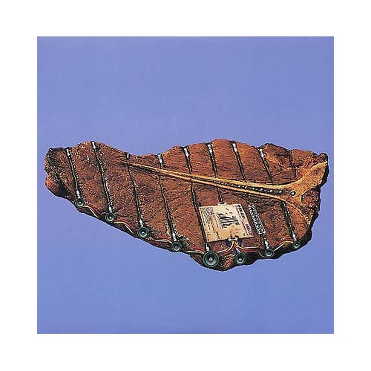 Phoenecia – Odd Job – 12″ Vinyl