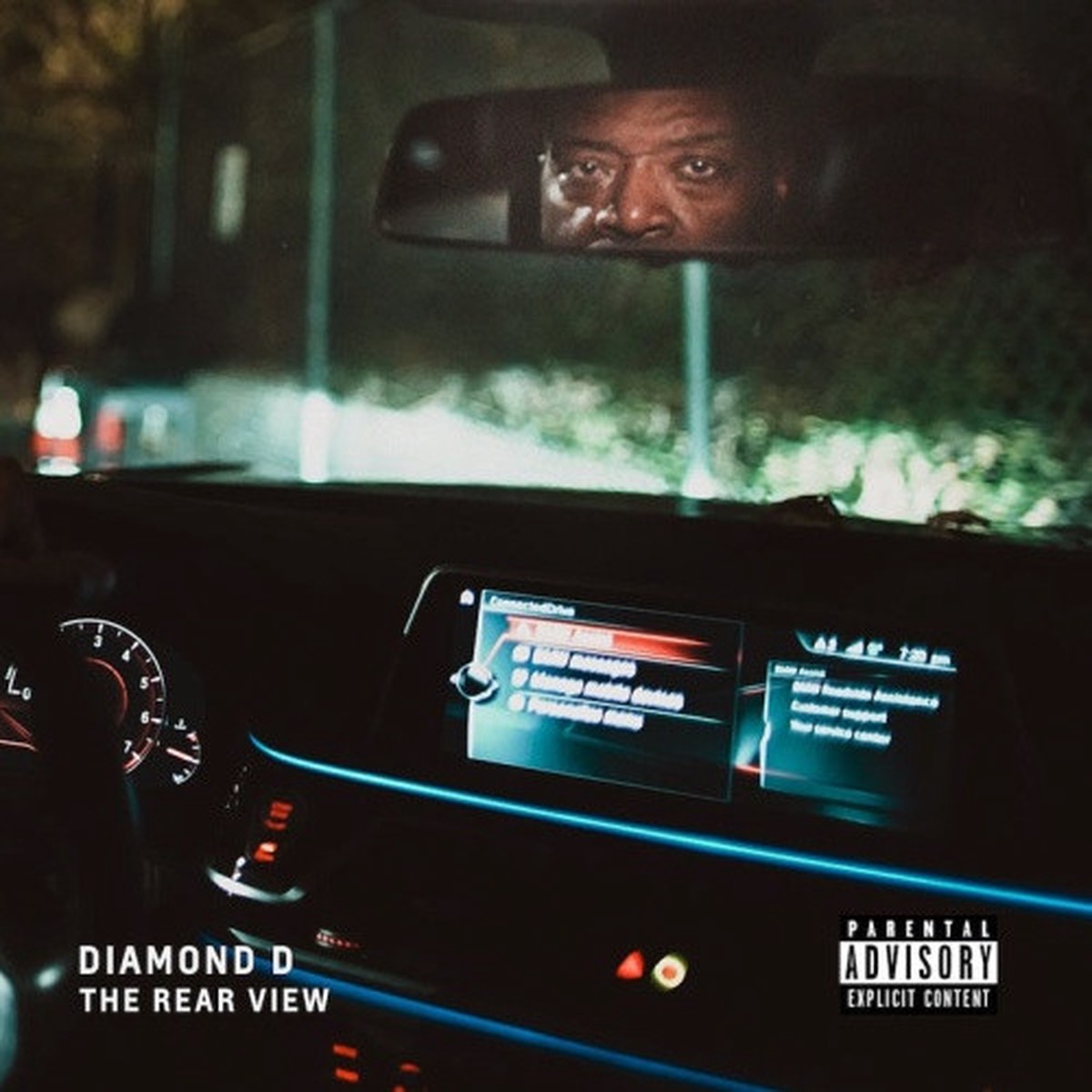 Diamond D – The Rear View – LP Vinyl