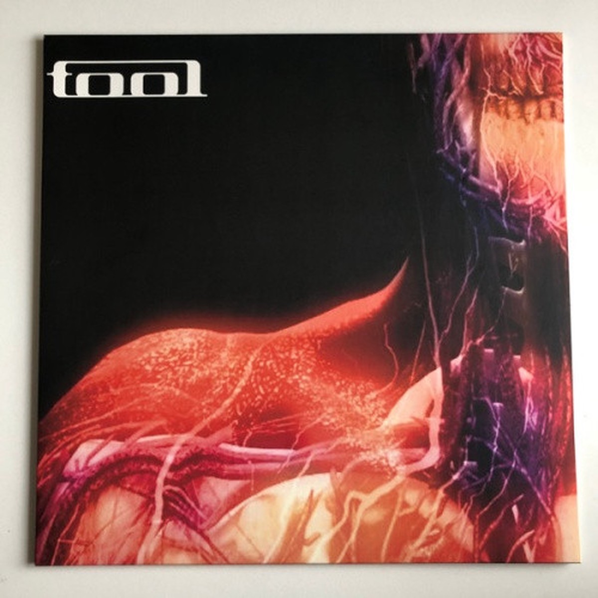 Tool – Pushit – Uncasville, CT, Mohegan Sun Casino, January 31, 2012 – LP Vinyl