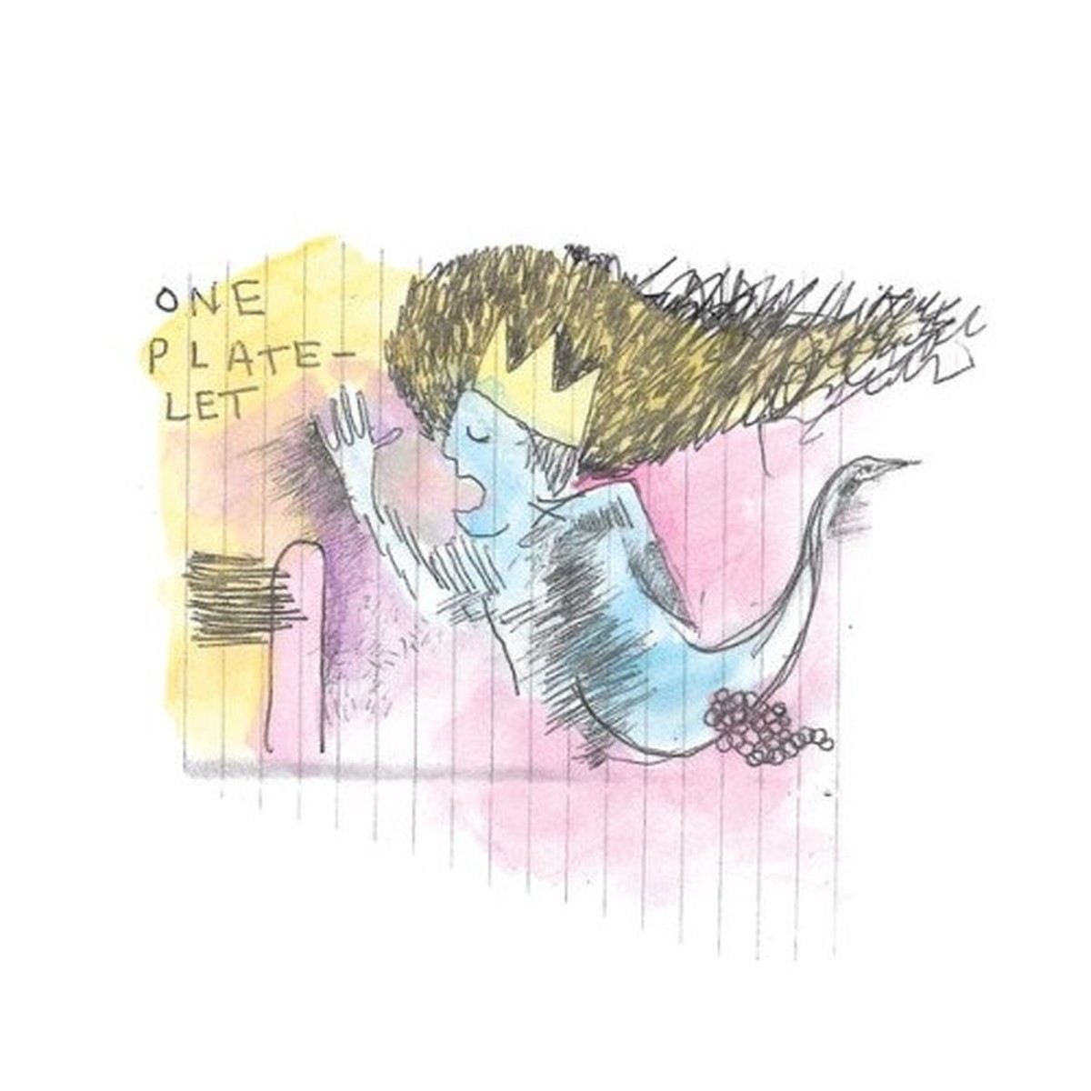 Why? – The Water (Kishi Bashi Remix) – 7″ Vinyl