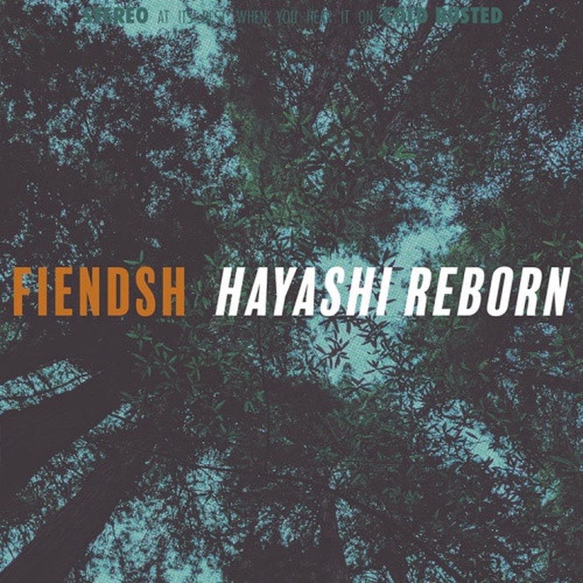 Fiendsh – Hayashi Reborn – LP Vinyl