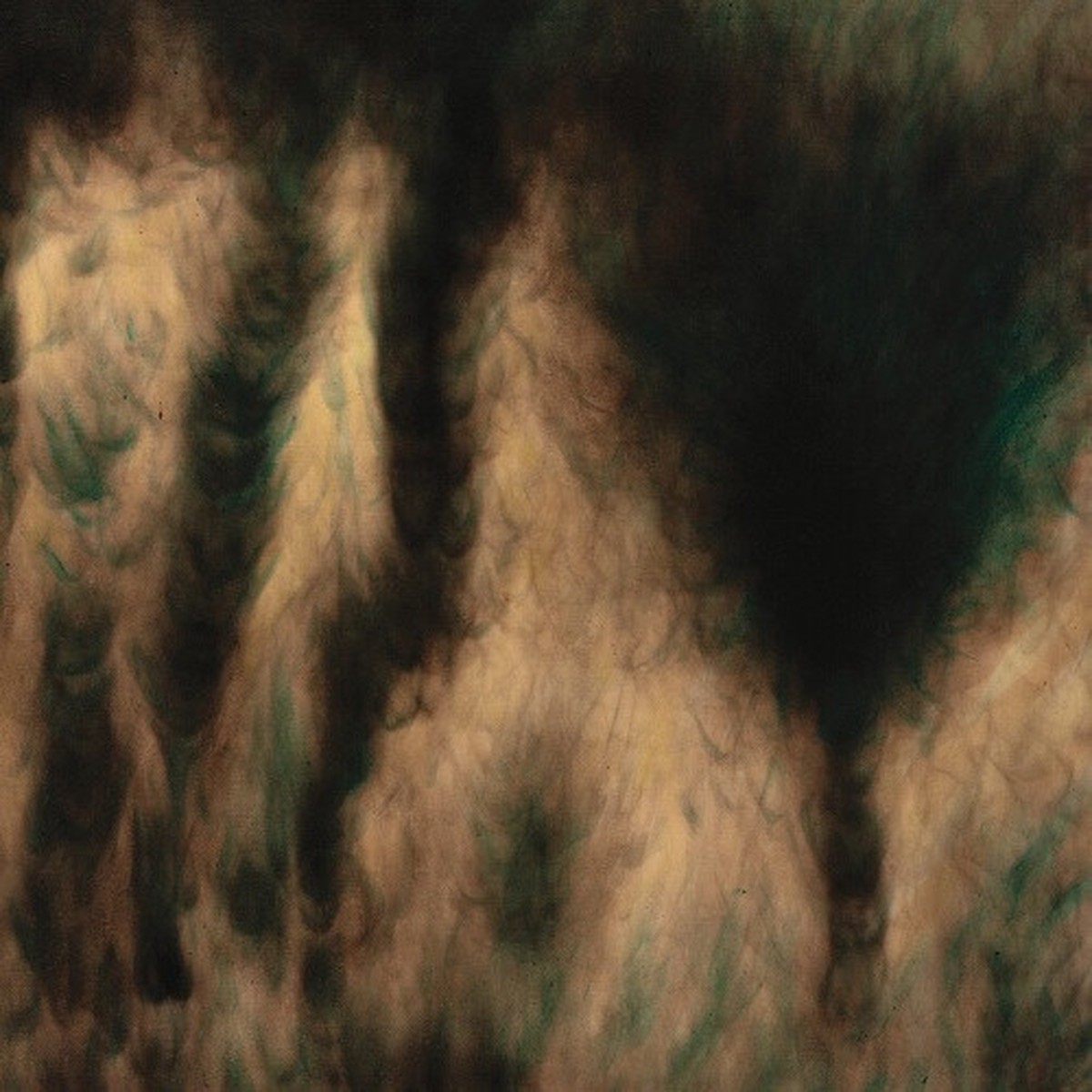 William Basinski – Lamentations – 2x LP Colored Vinyl
