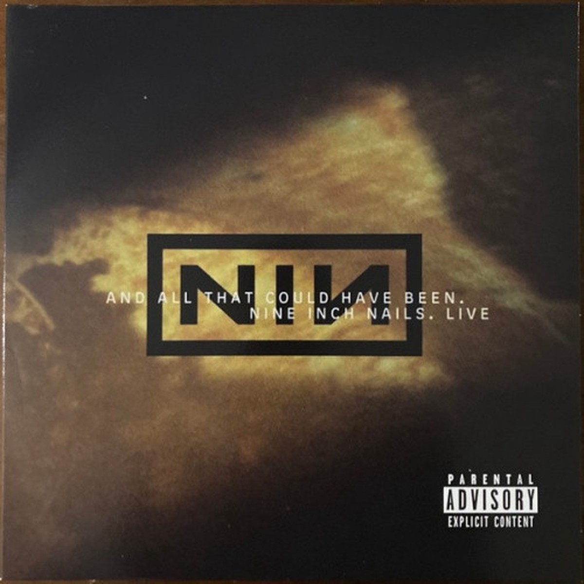 Nine Inch Nails – And All That Could Have Been (Live) – 2x LP Colored Vinyl